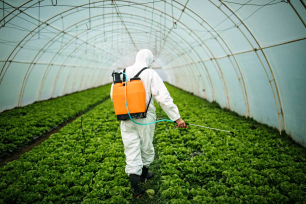 Best Pest Control Treatment  in Hastings, NE