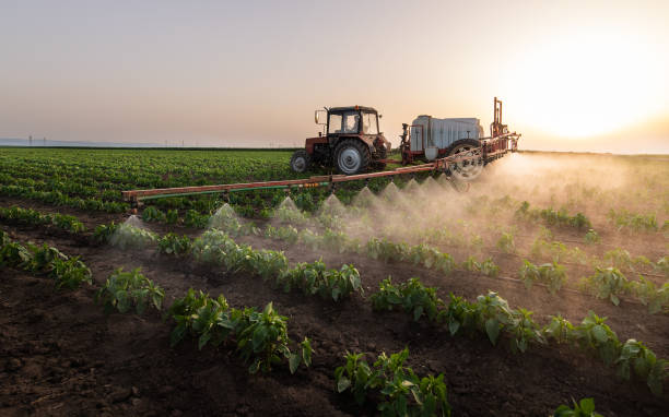 Pest Control for Restaurants in Hastings, NE