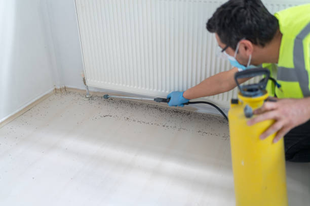 Best Affordable Pest Control Services  in Hastings, NE